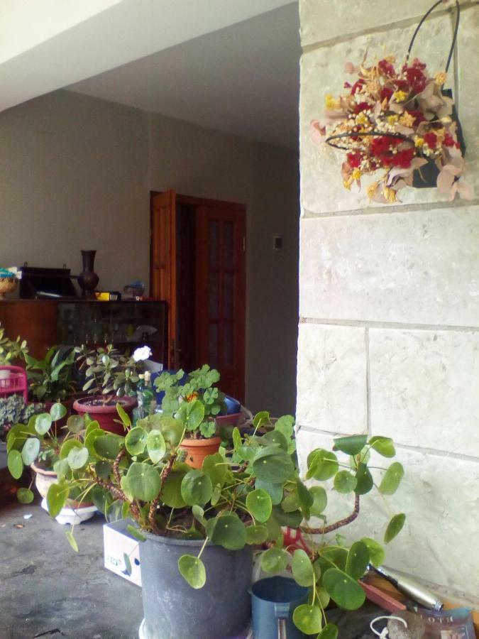 Hotel Kapana à Mtsʼkhetʼa Extérieur photo